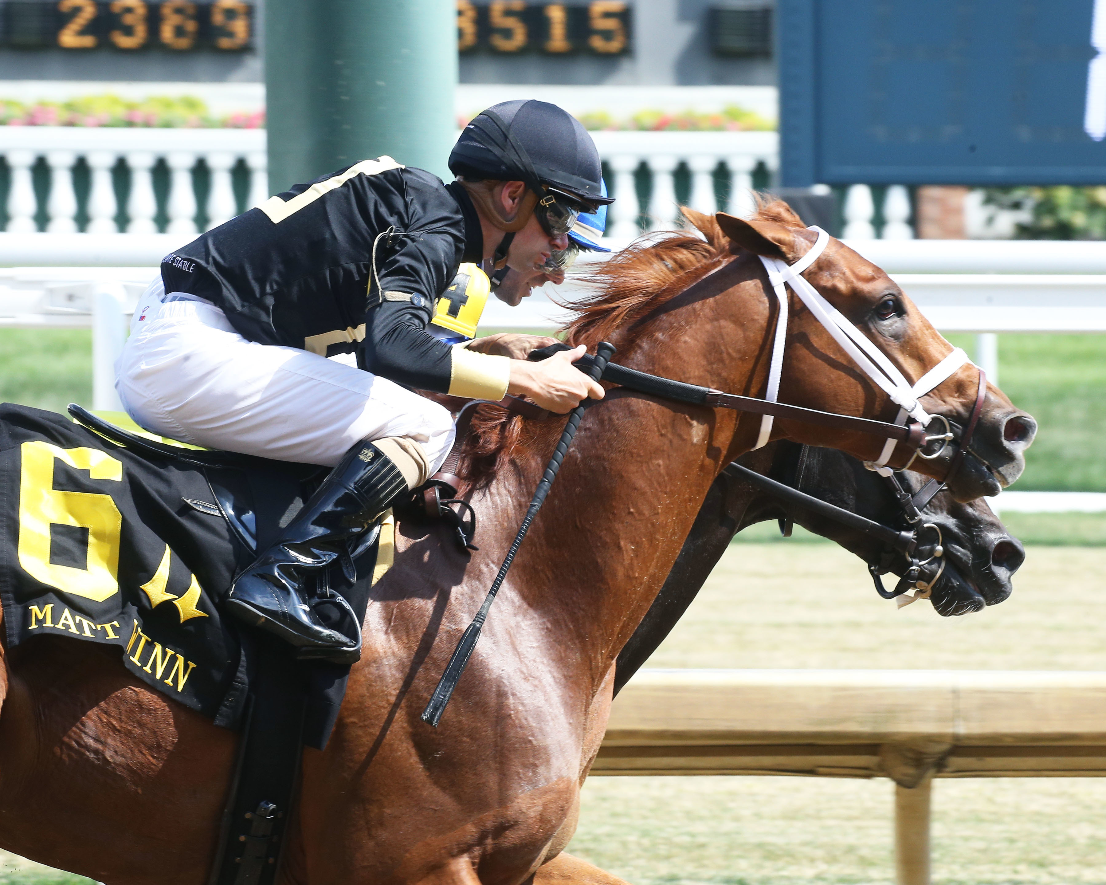 Cyberknife/Matt Winn