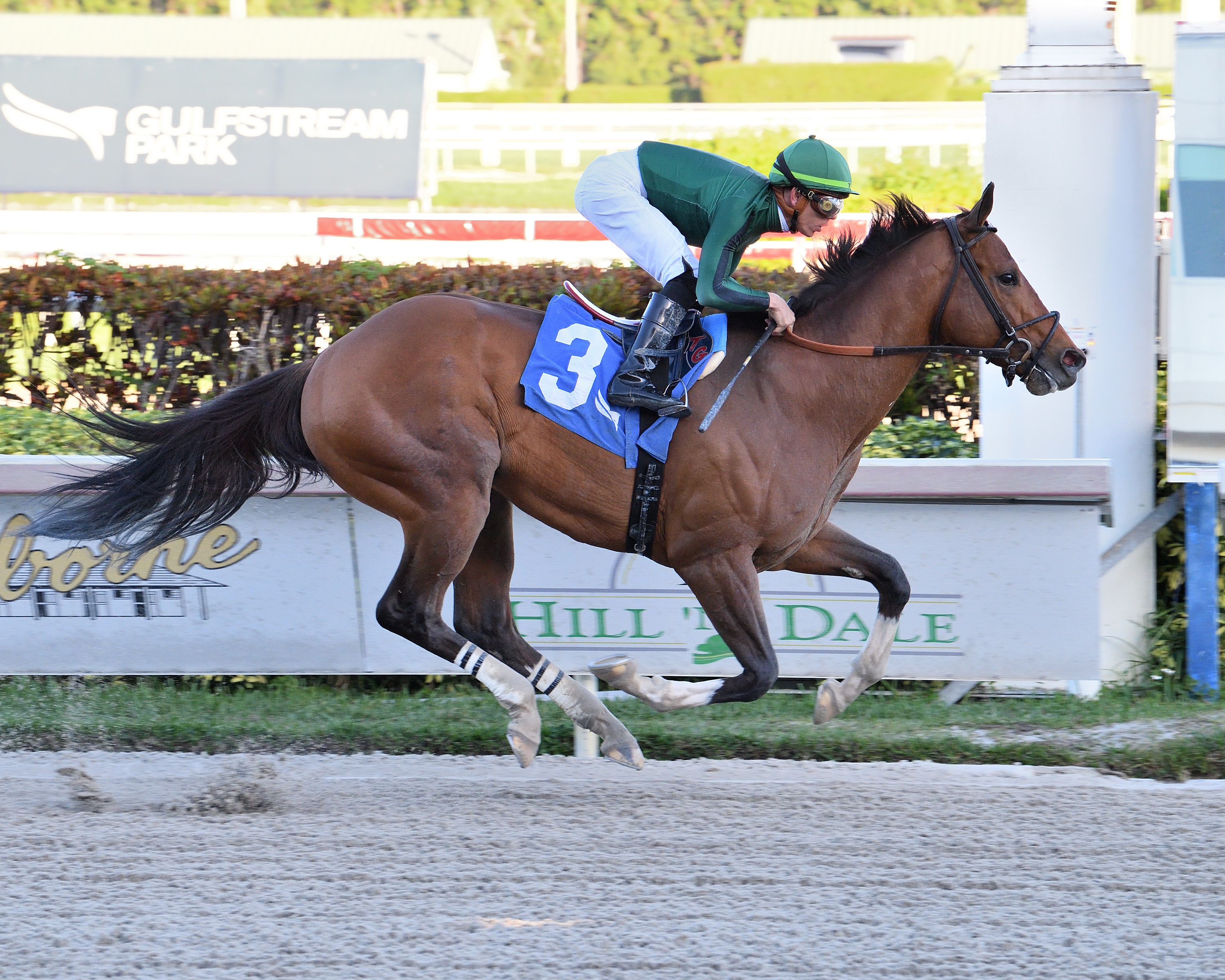 Cyclone Mischief - Gulfstream Park