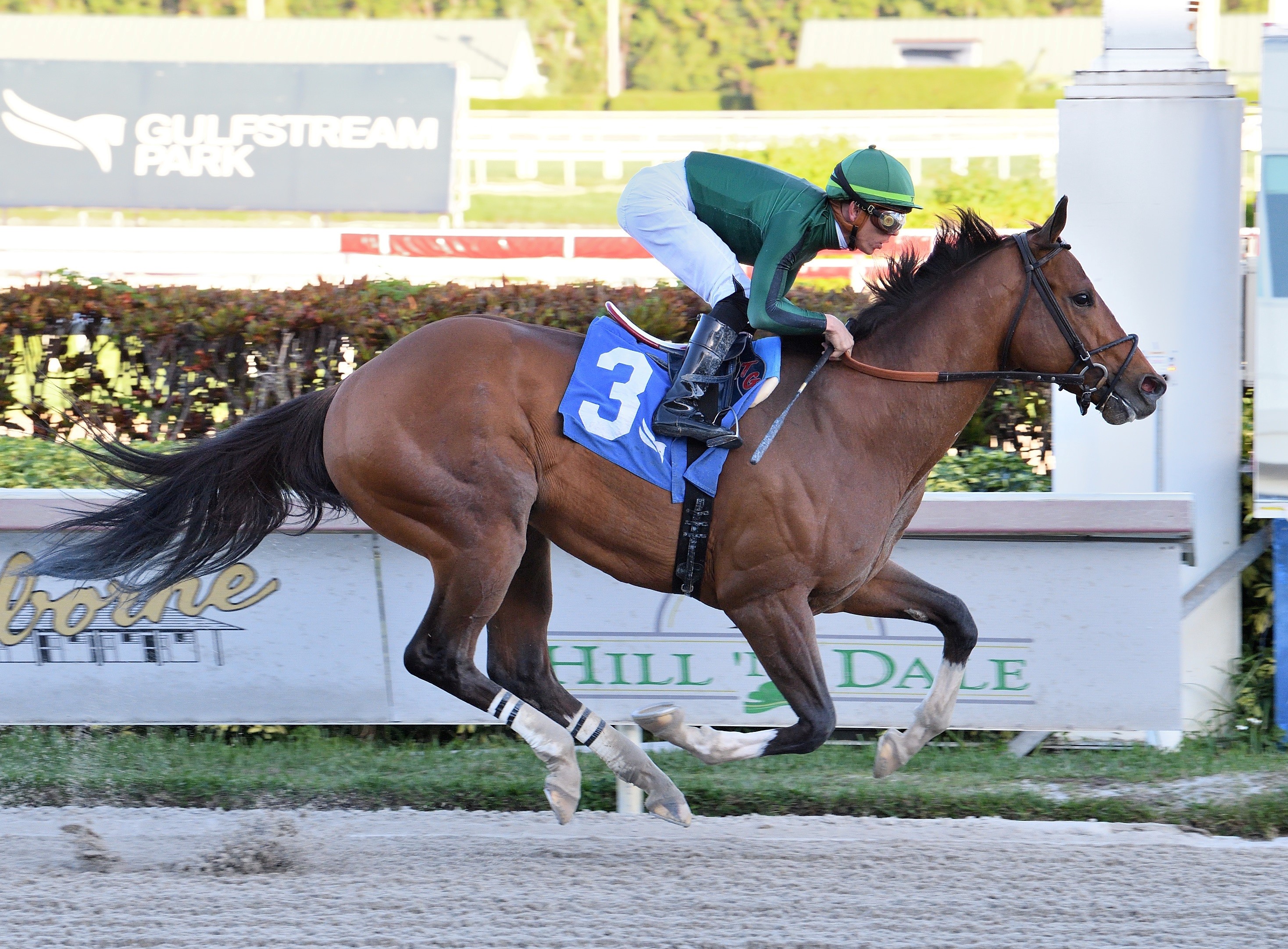 Cyclone Mischief wins at GP Jan 8 2023