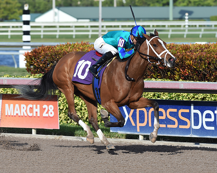 Cypriana wins a Jan. 14 maiden race