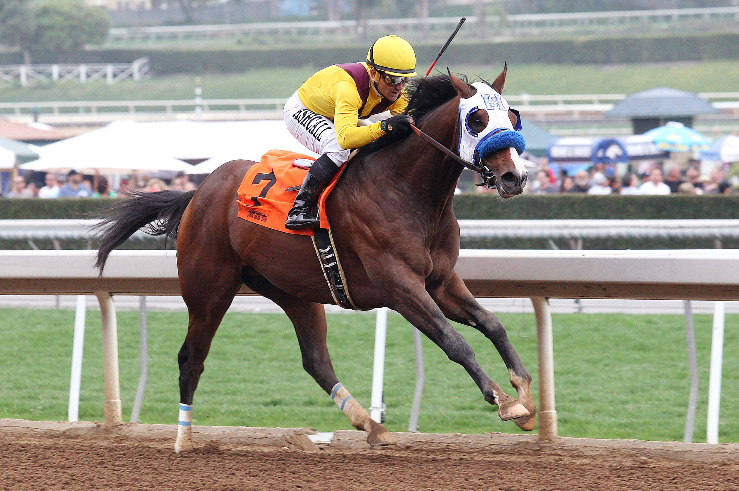 Cyrus Alexander wins a maiden race