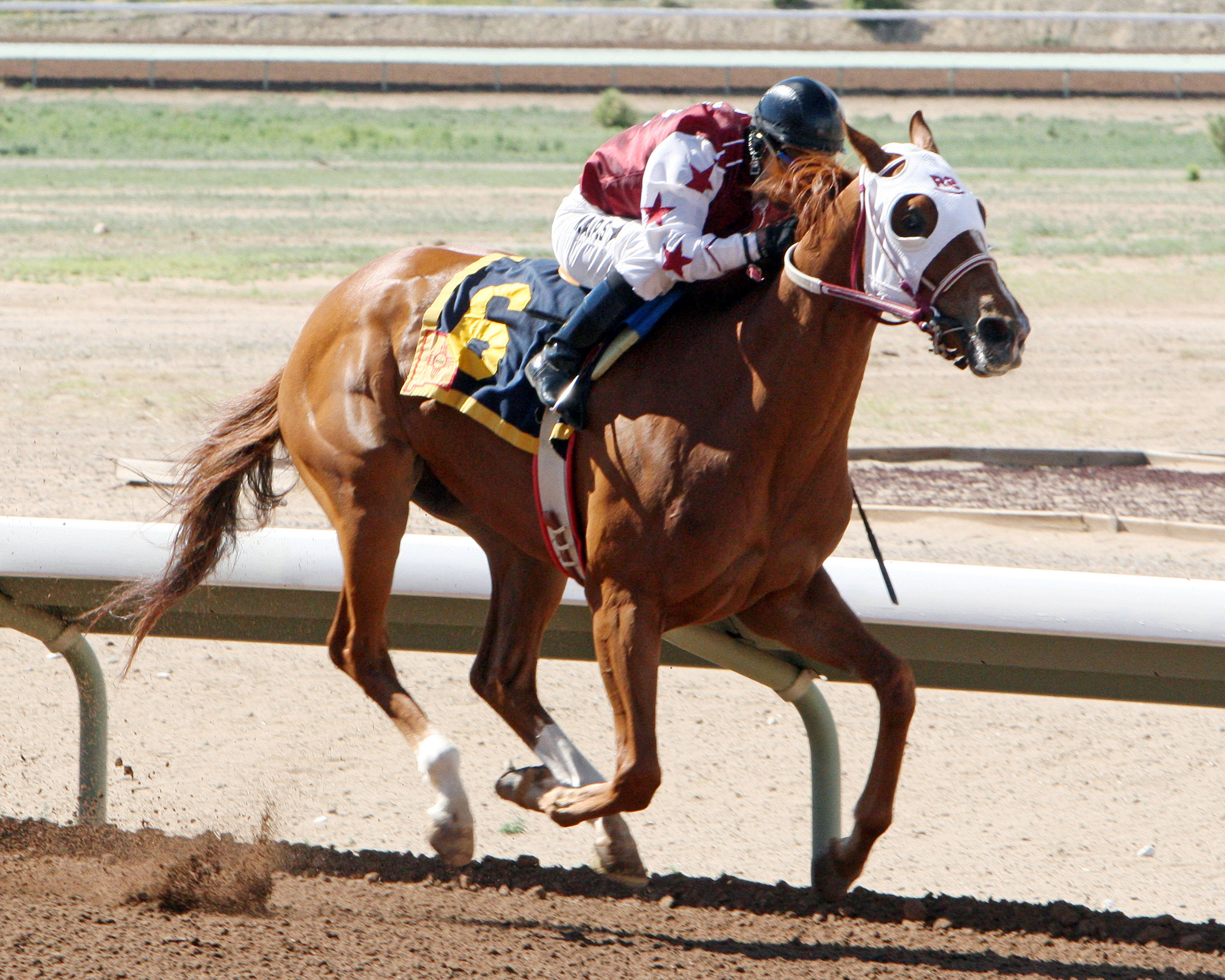 D E Lover wins the 2014 Dine Stakes