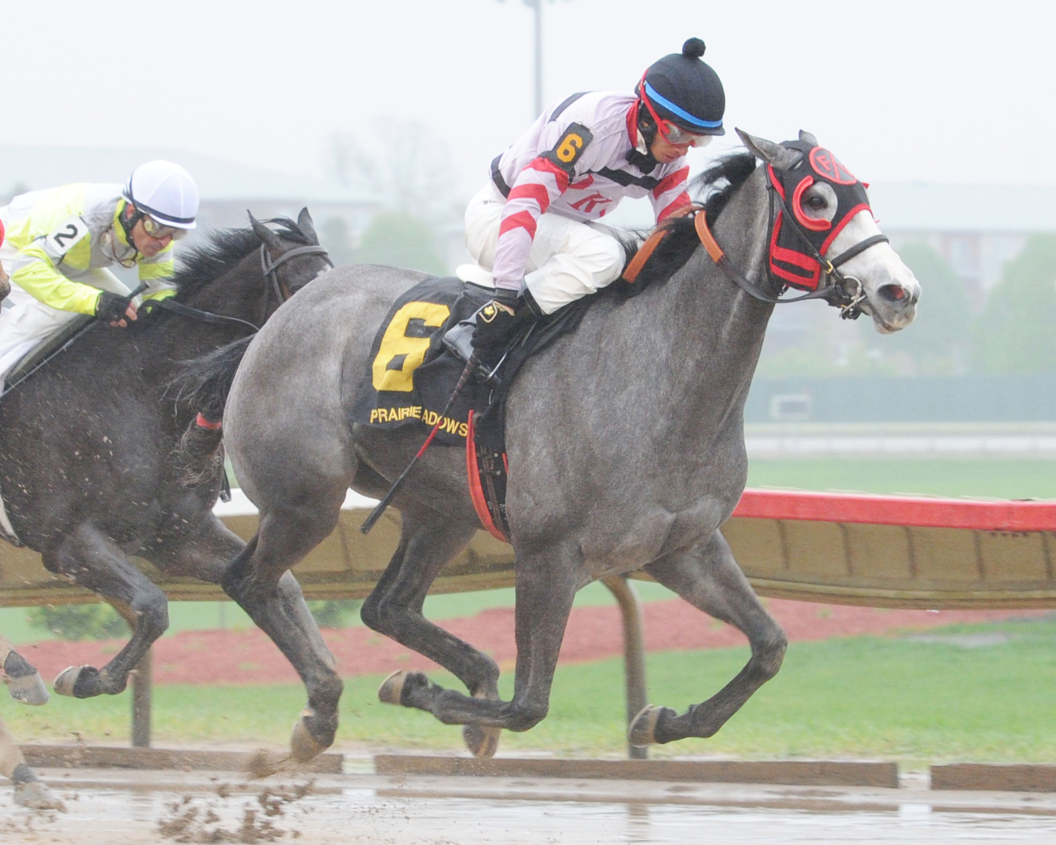 D R C's Pretty Sky wins the Goldfinch Stakes