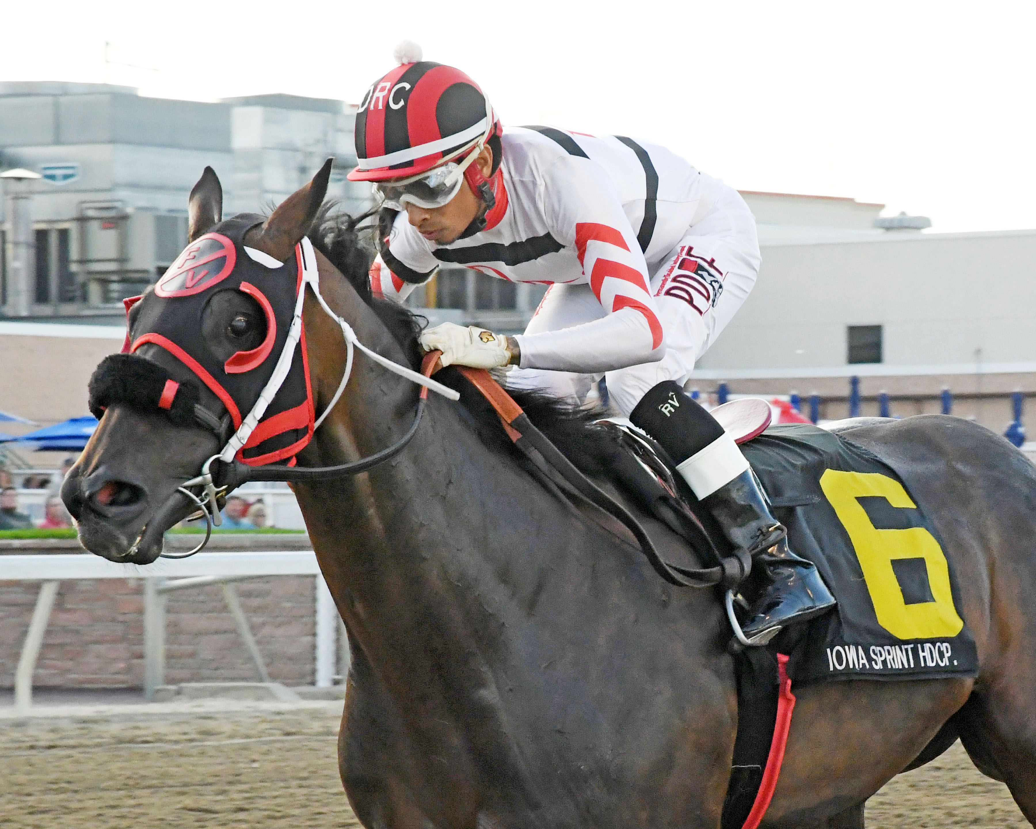 D' Rapper wins the 2019 Iowa Sprint Handicap at Prairie Meadows