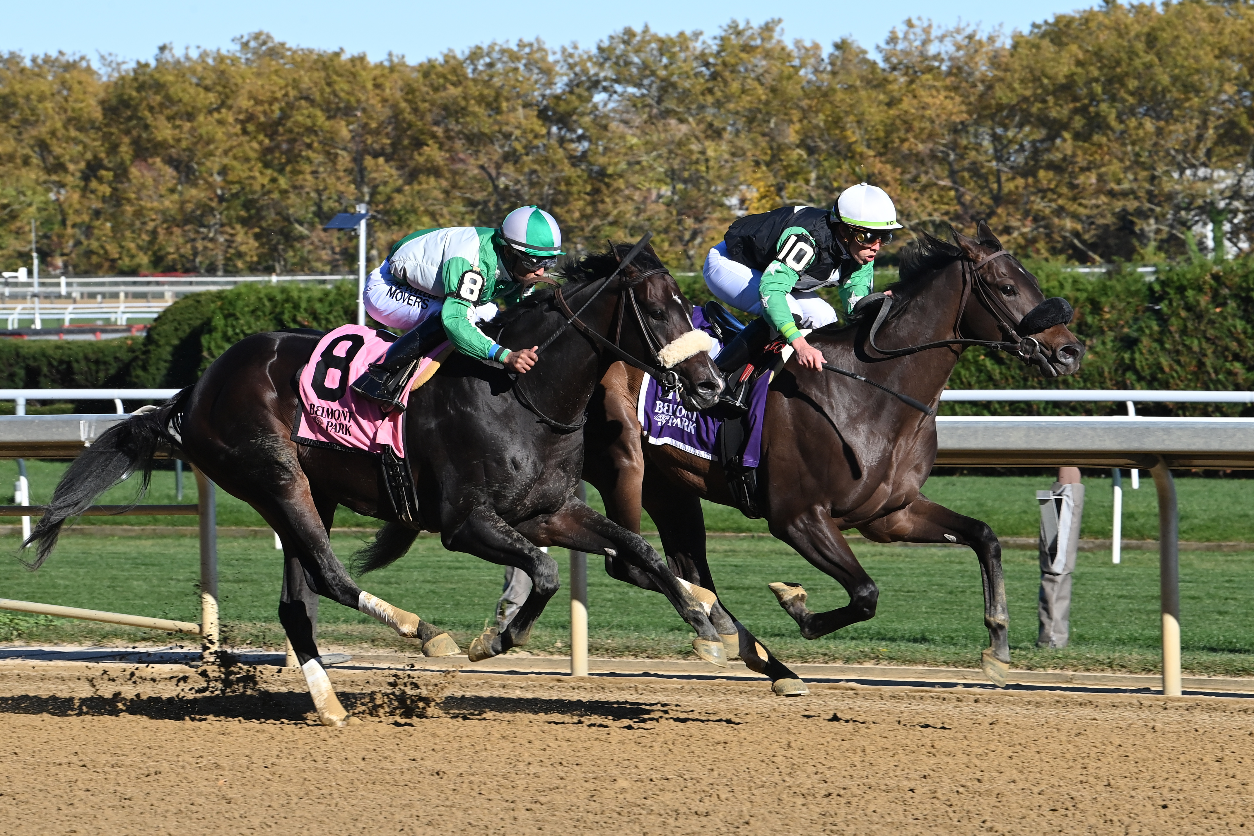 D'ont Lose Cruz (right) beats Mariachi in maiden at AQU Oct 27 2022