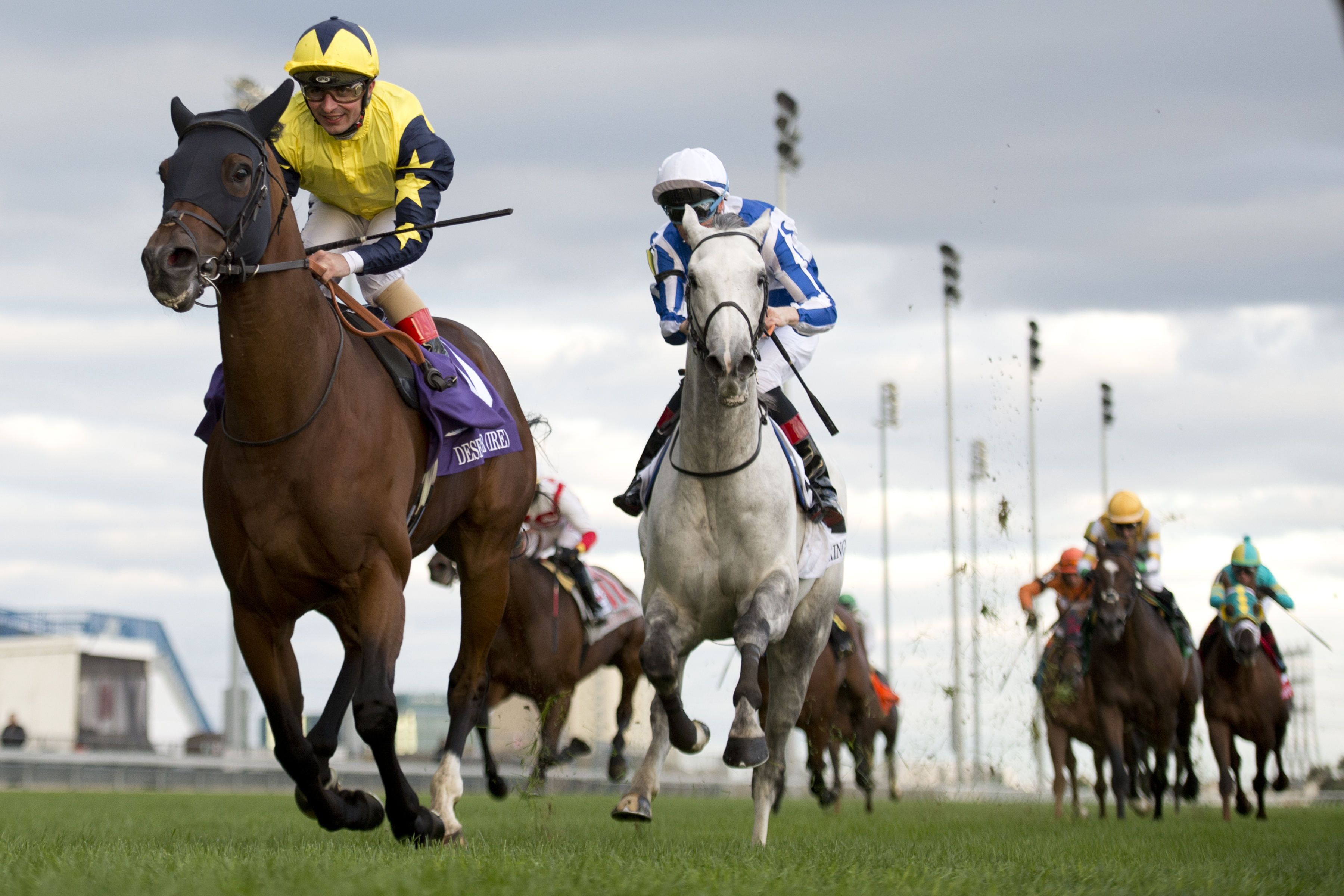 Desert Encounter wins the 2018 Canadian International