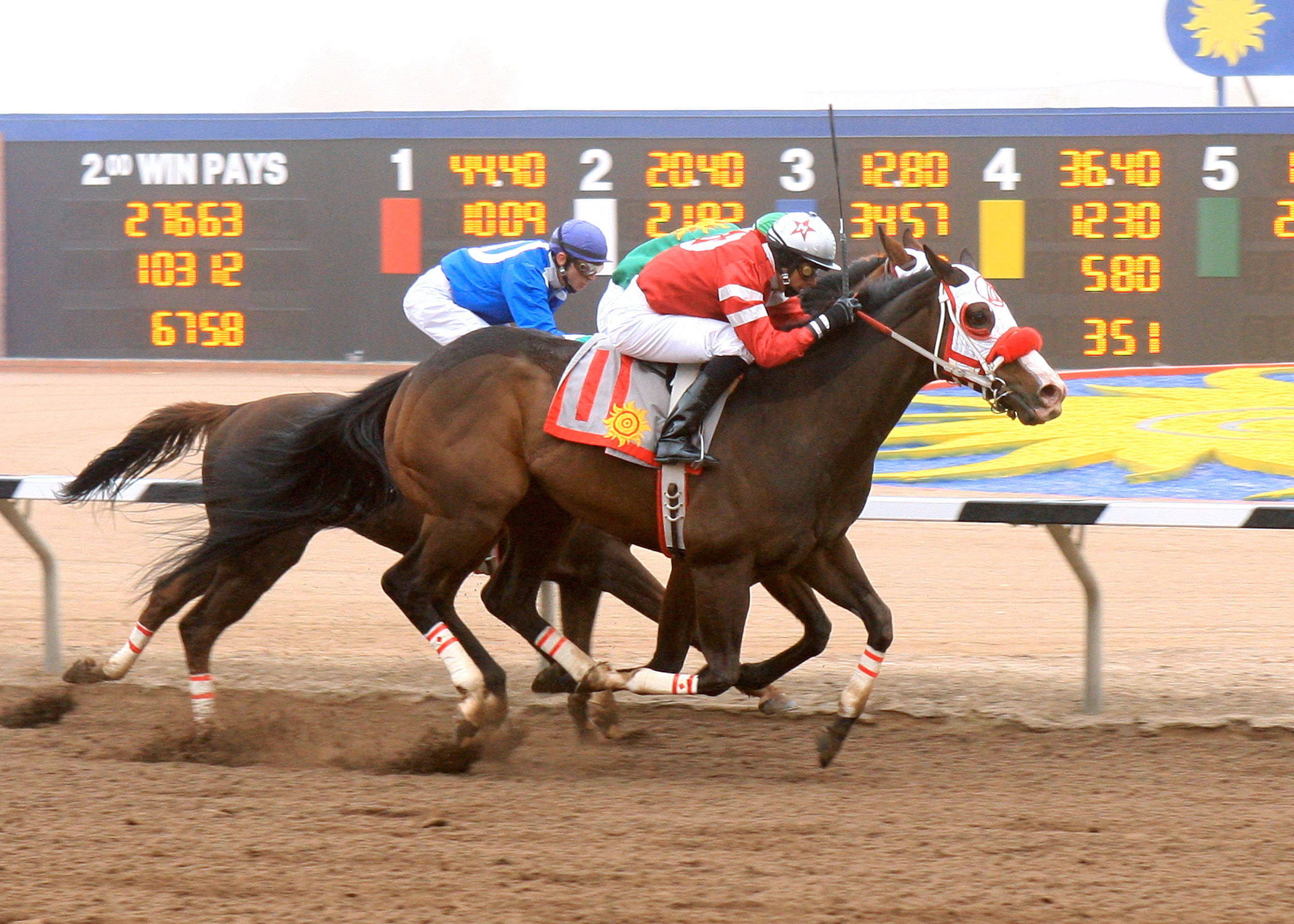 Daddy O./NMSU Handicap