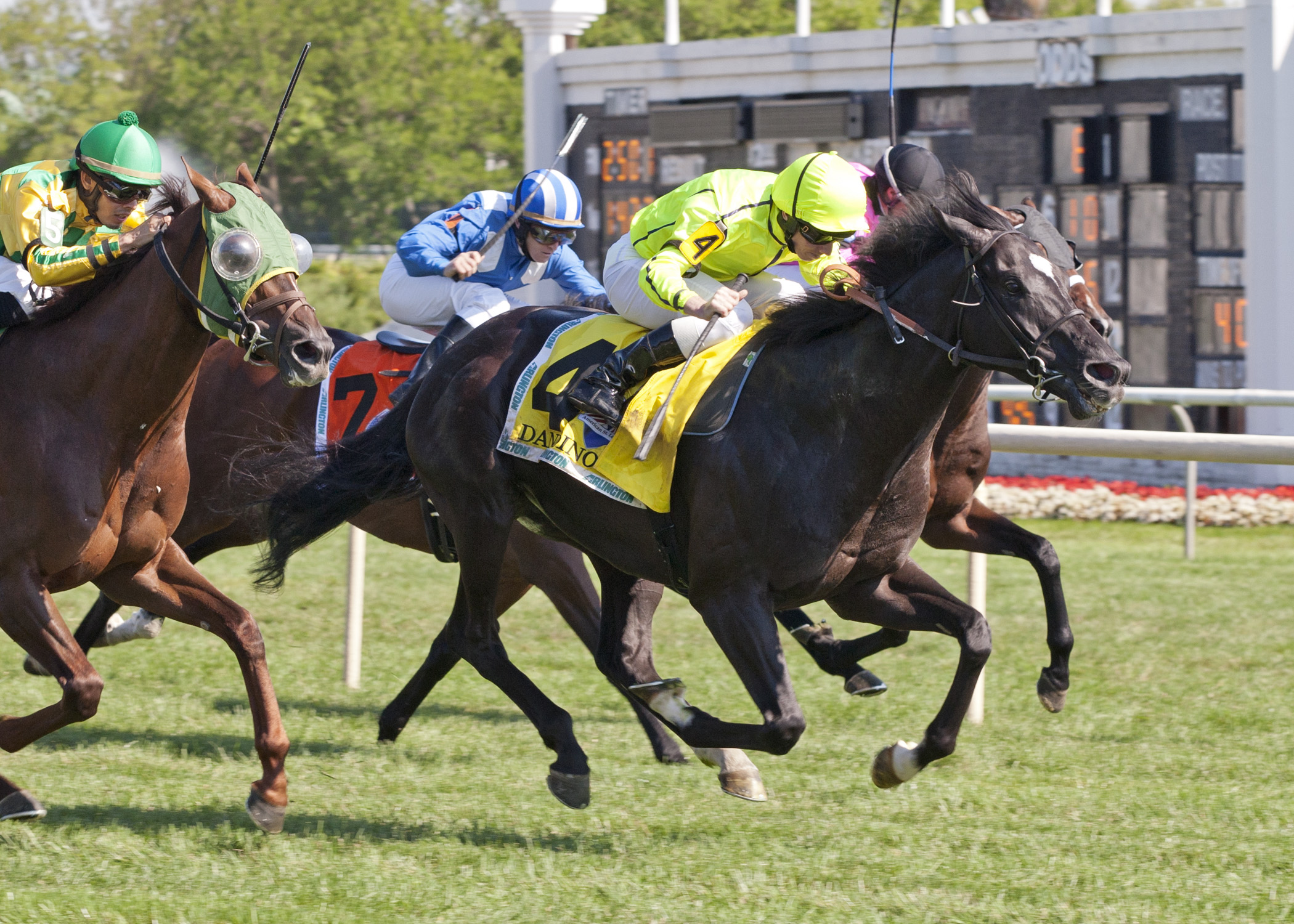 Dandino 8-17-2013