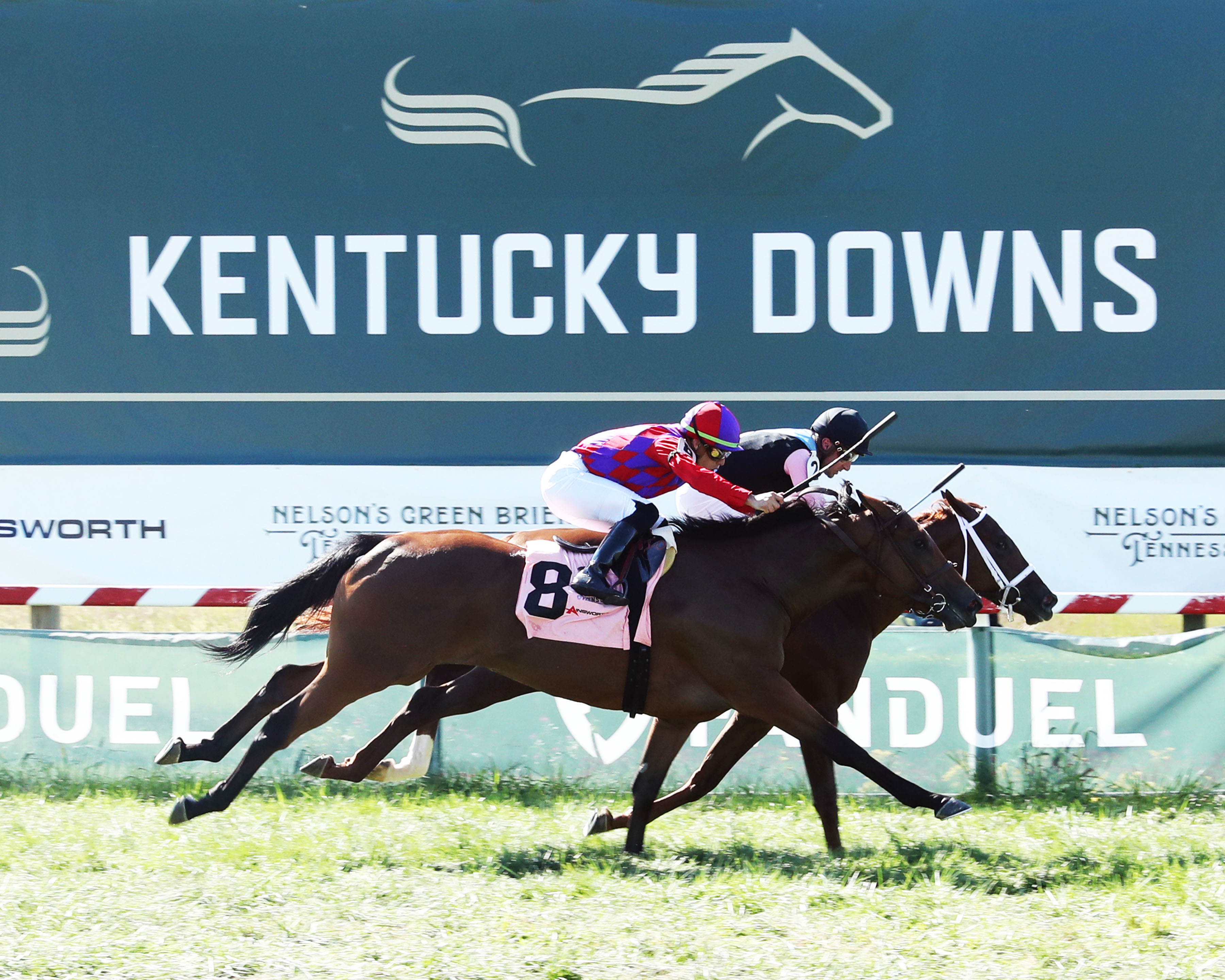 Danse Macabre - Untapable S. 2022