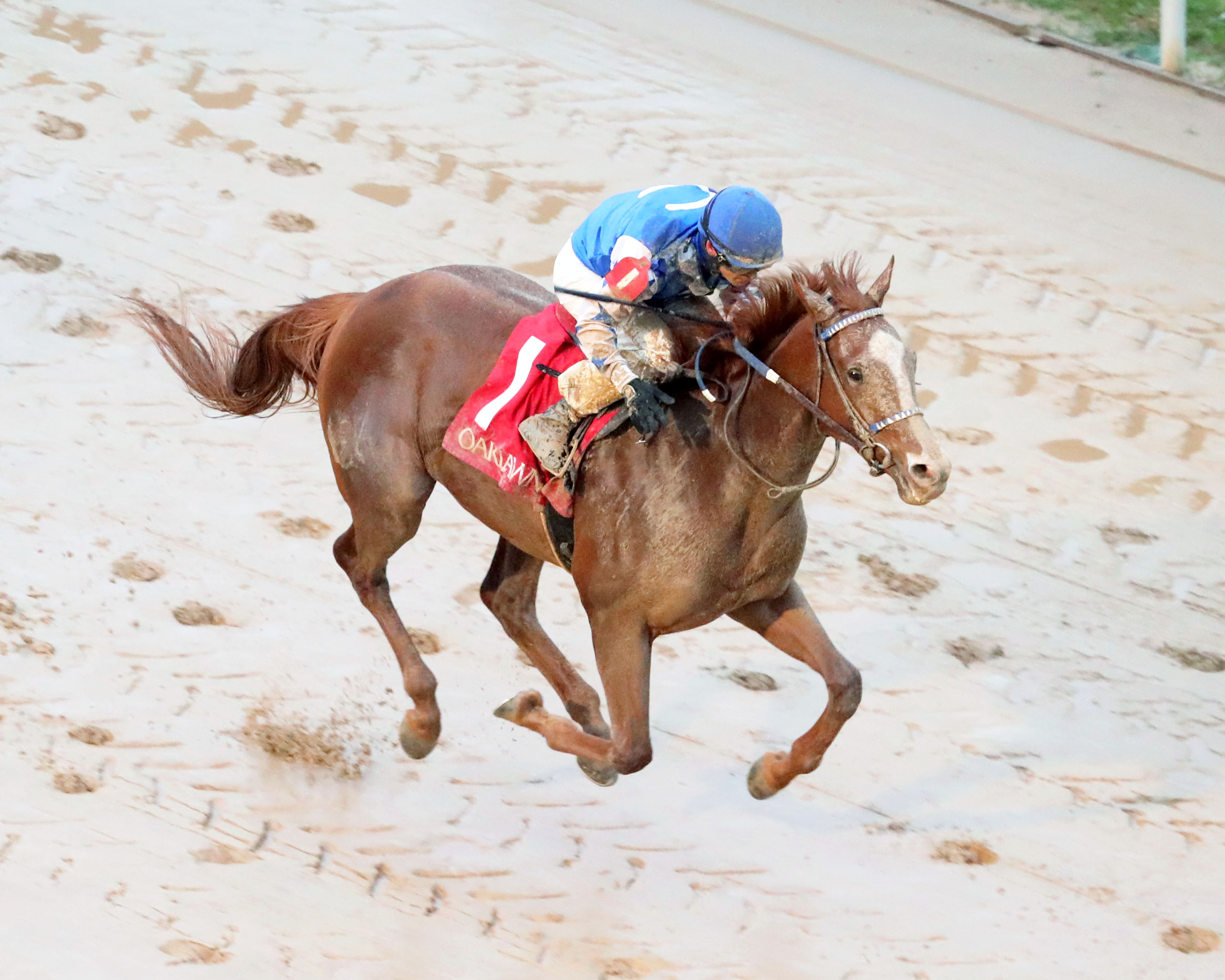 Dash Attack - Smarty Jones S. 2021