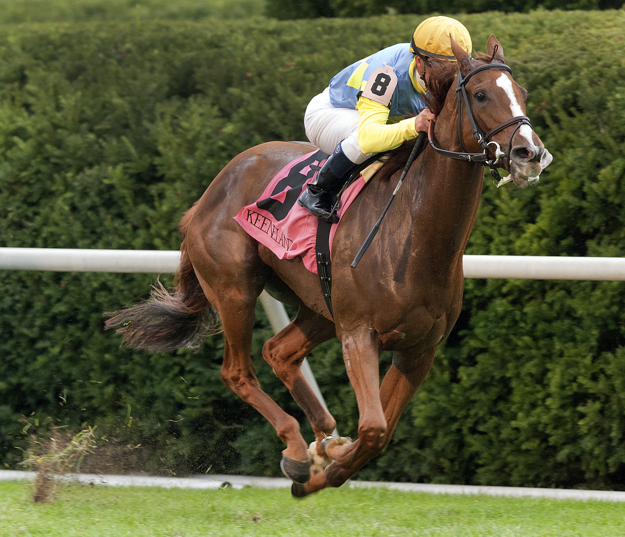 Dayatthespa