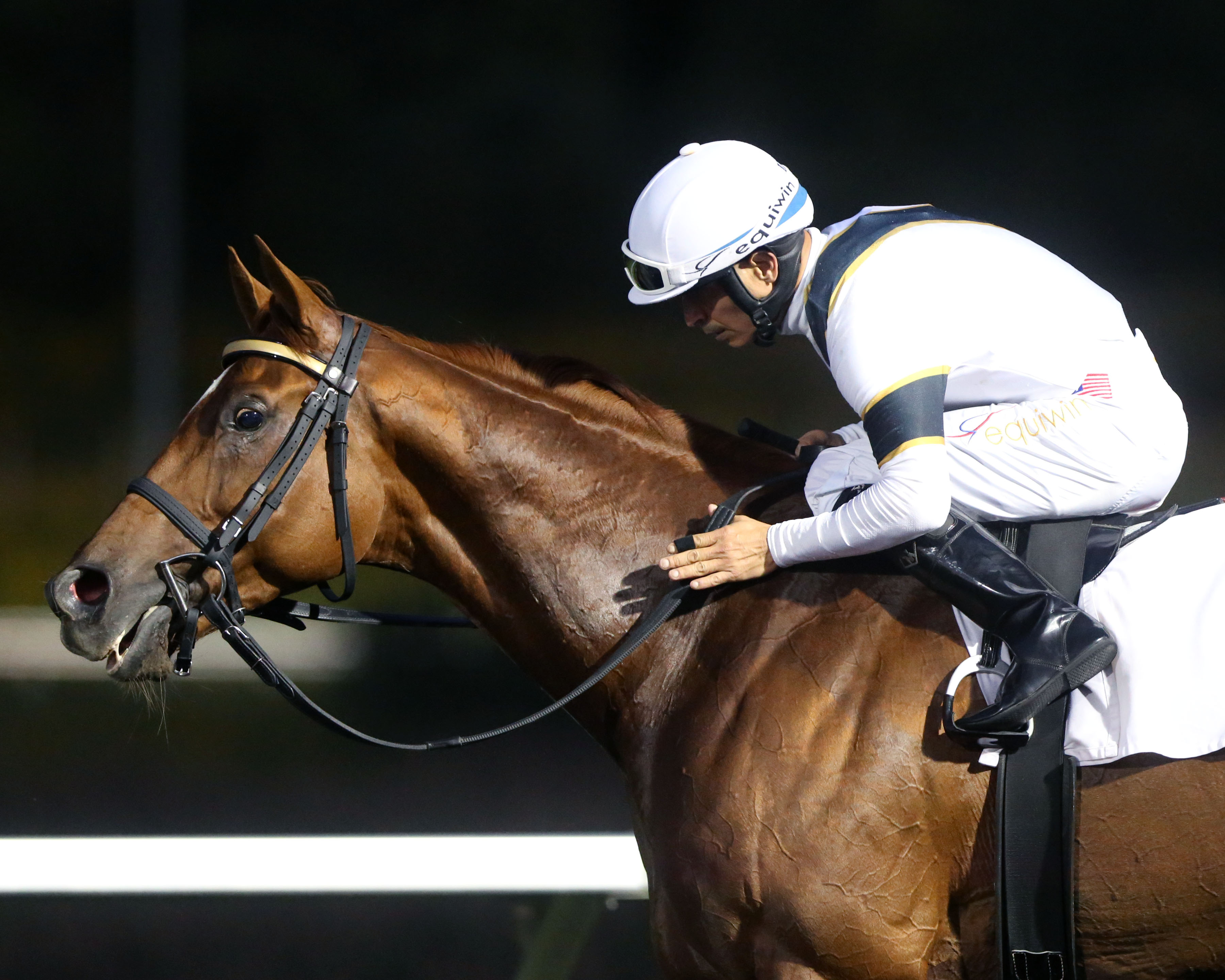 Decorated Soldier wins 2018 Presque Isle Mile