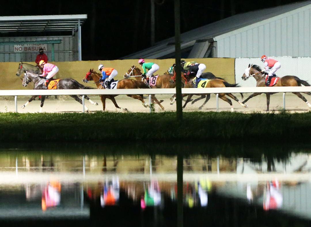 Delta Downs racing 2020