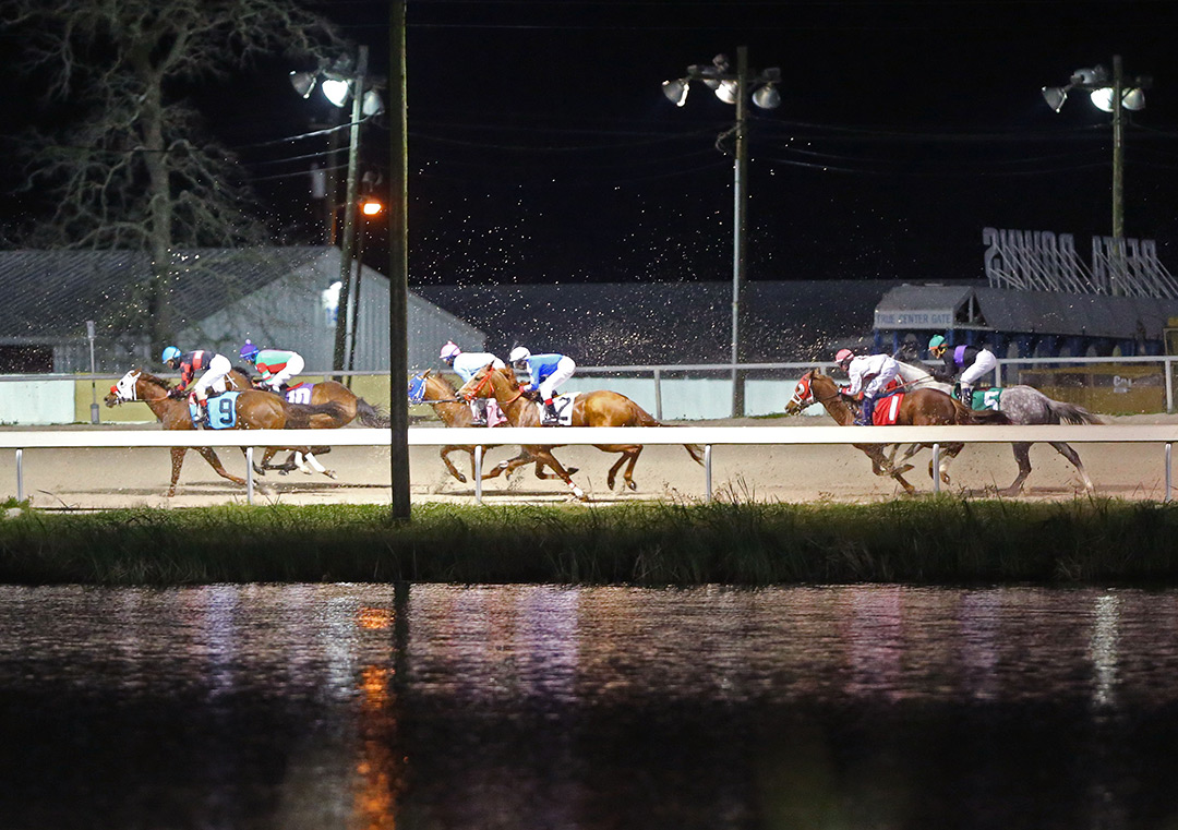 Delta Downs nighttime racing