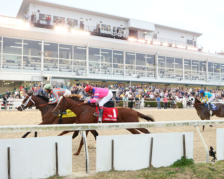 Delta Downs