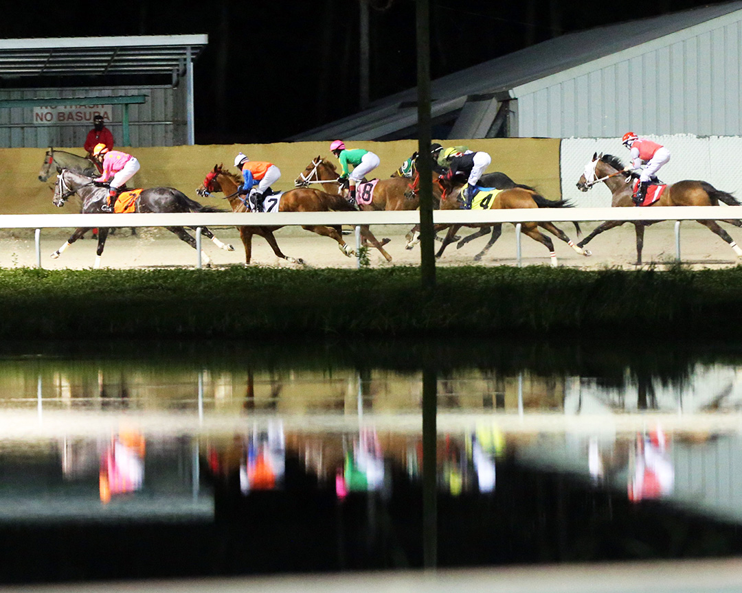 Delta Downs 2020