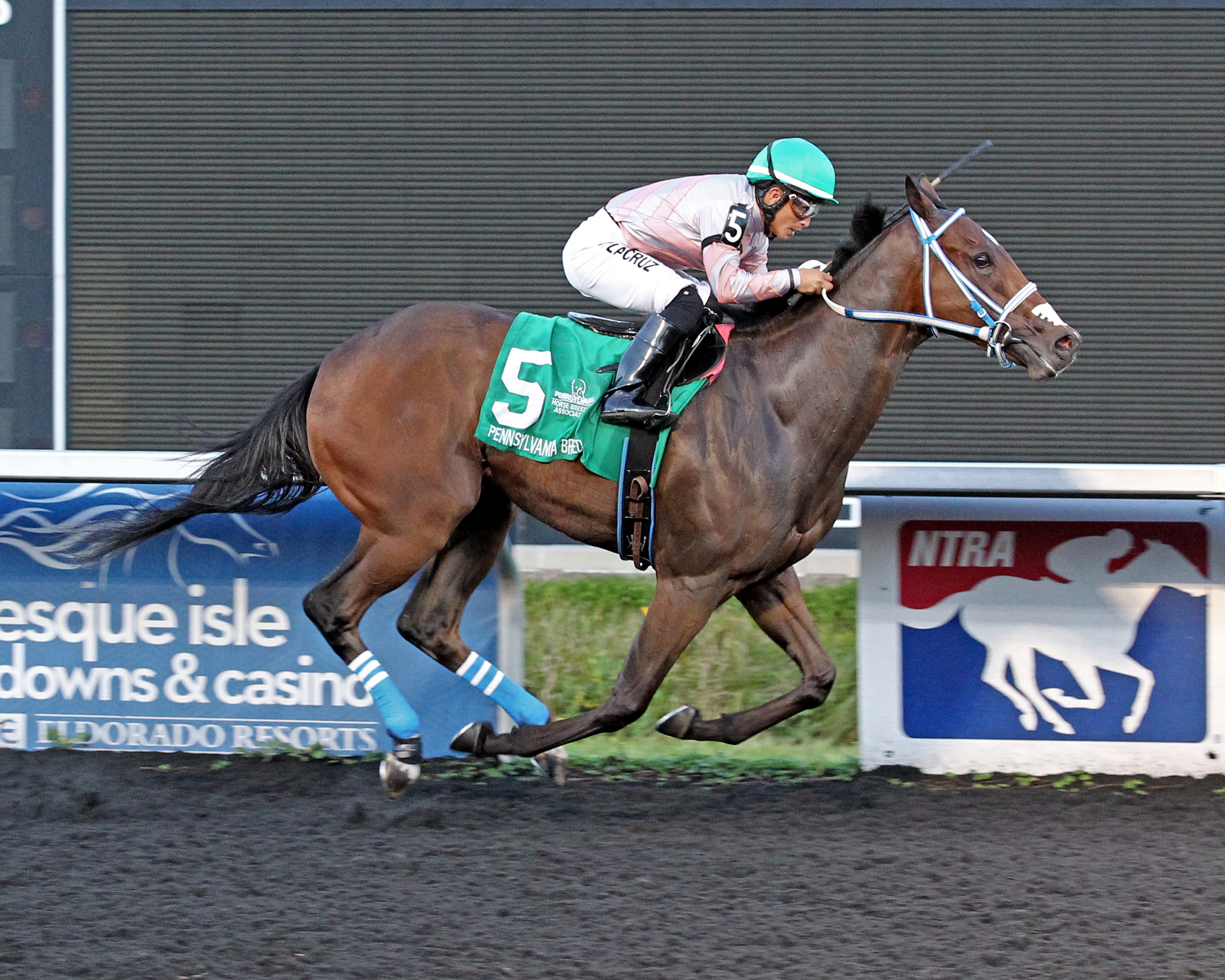 Delta Express wins 2018 Mark McDermott