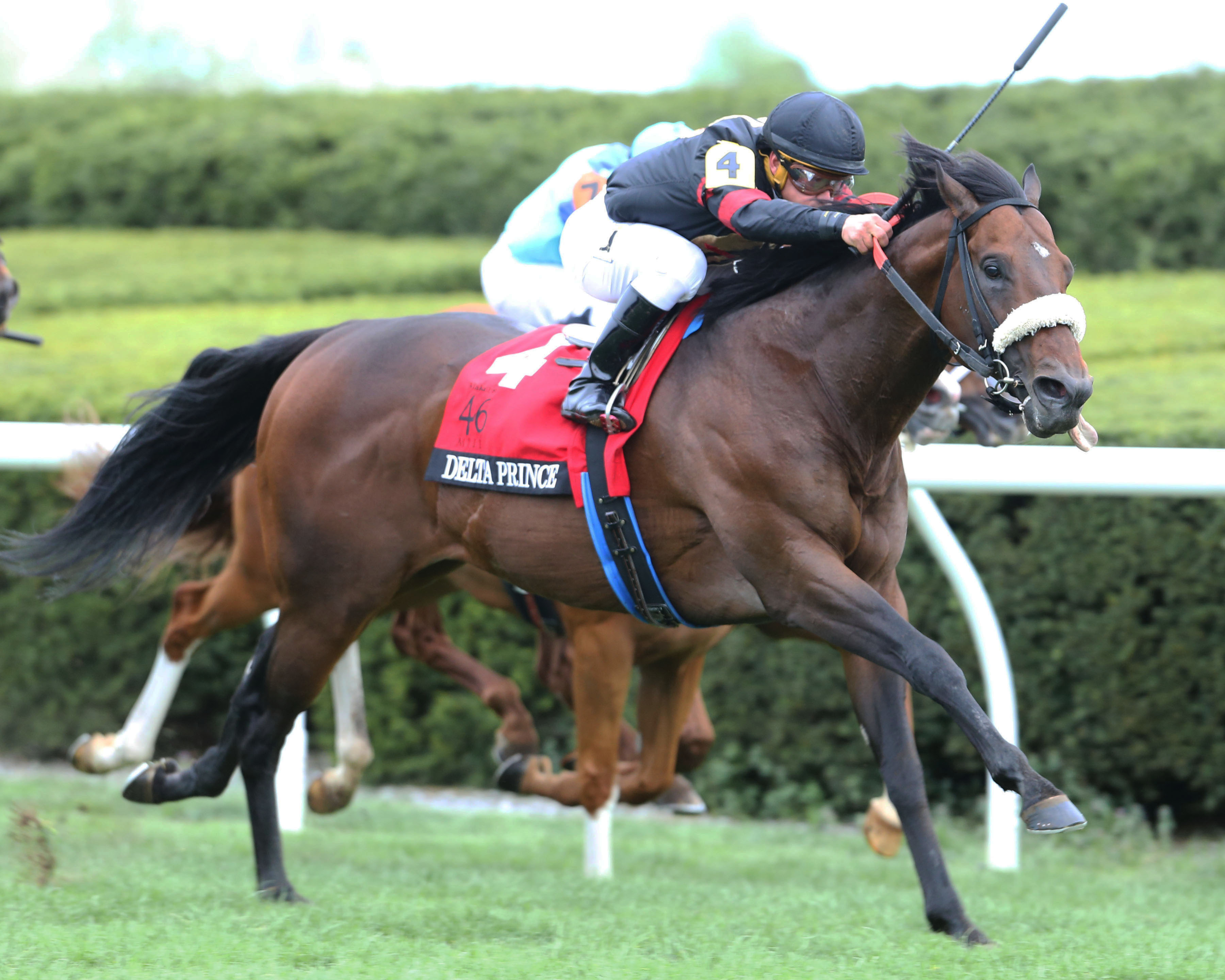 Delta Prince wins the 2019 Maker-s 46 Mile