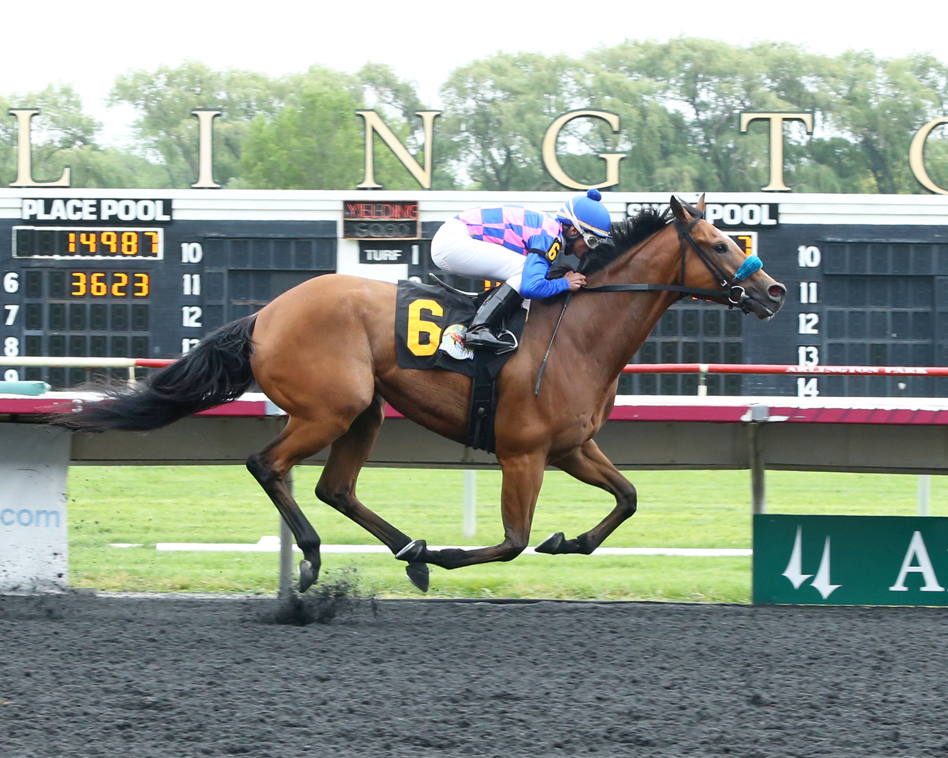 Devileye wins 2018 Addison Cammack Handicap