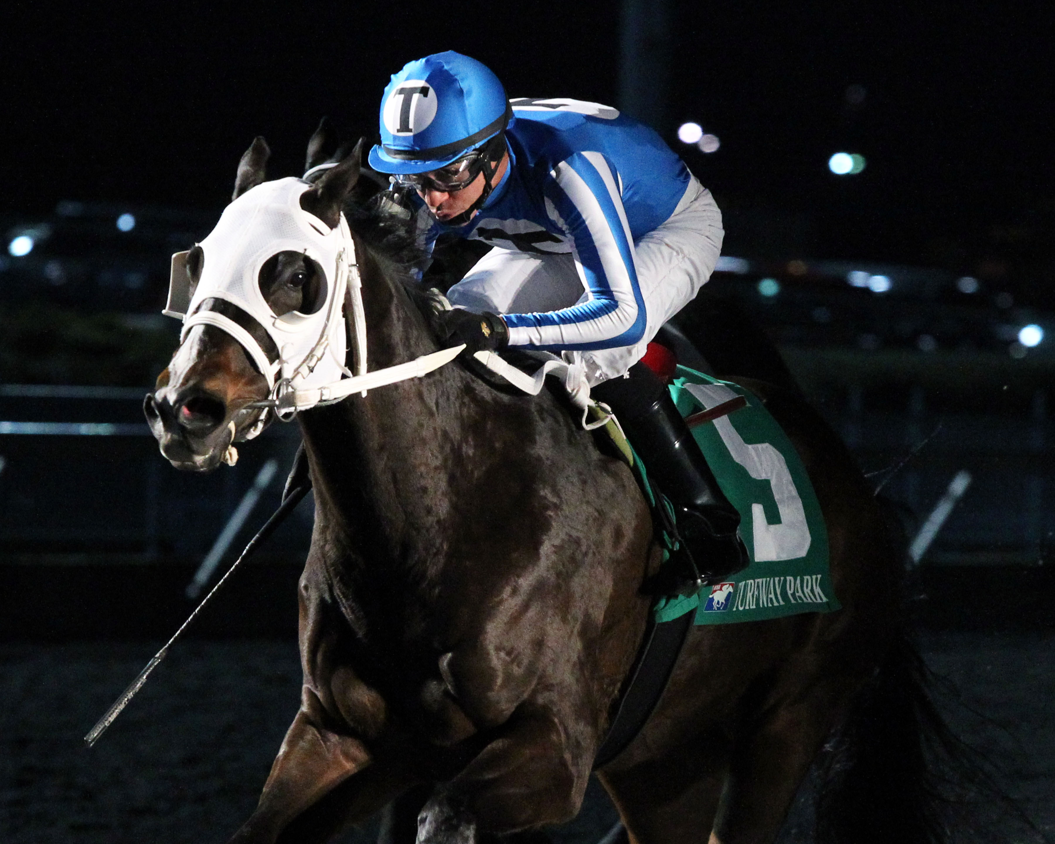 Dingdingdingding wins 2016 Forego