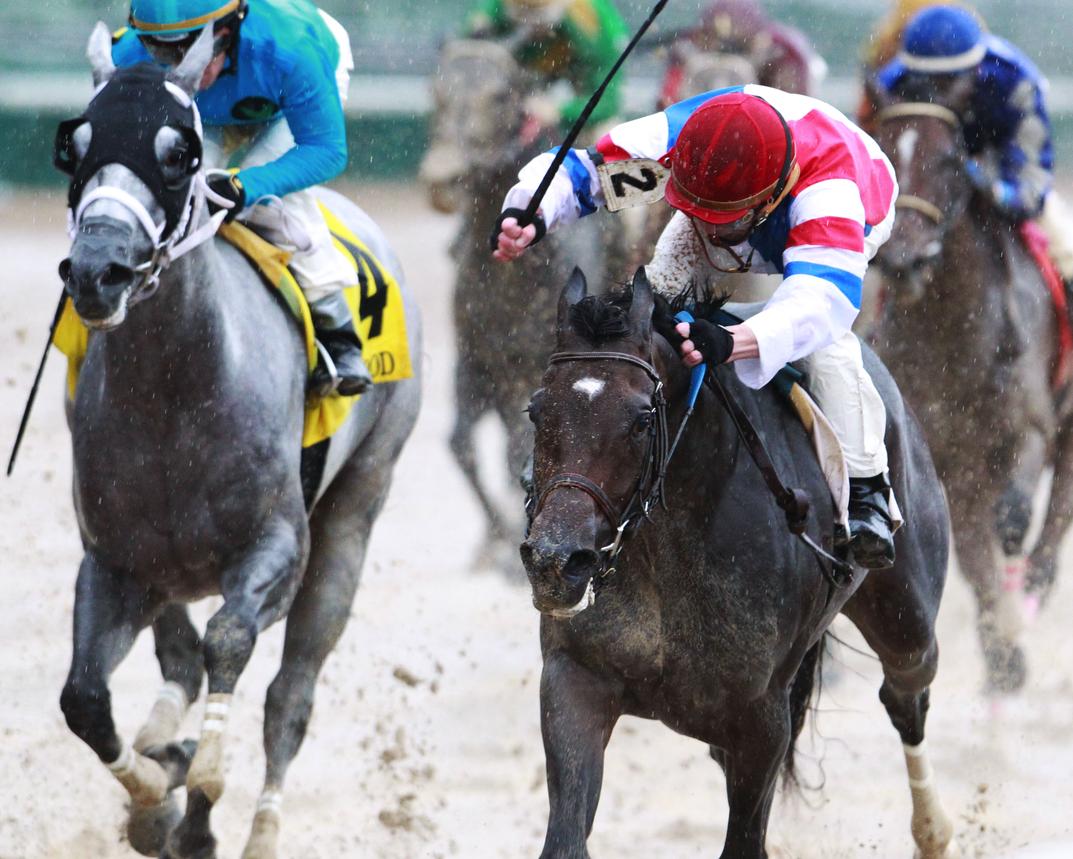 Divine Queen wins 2018 Dogwood