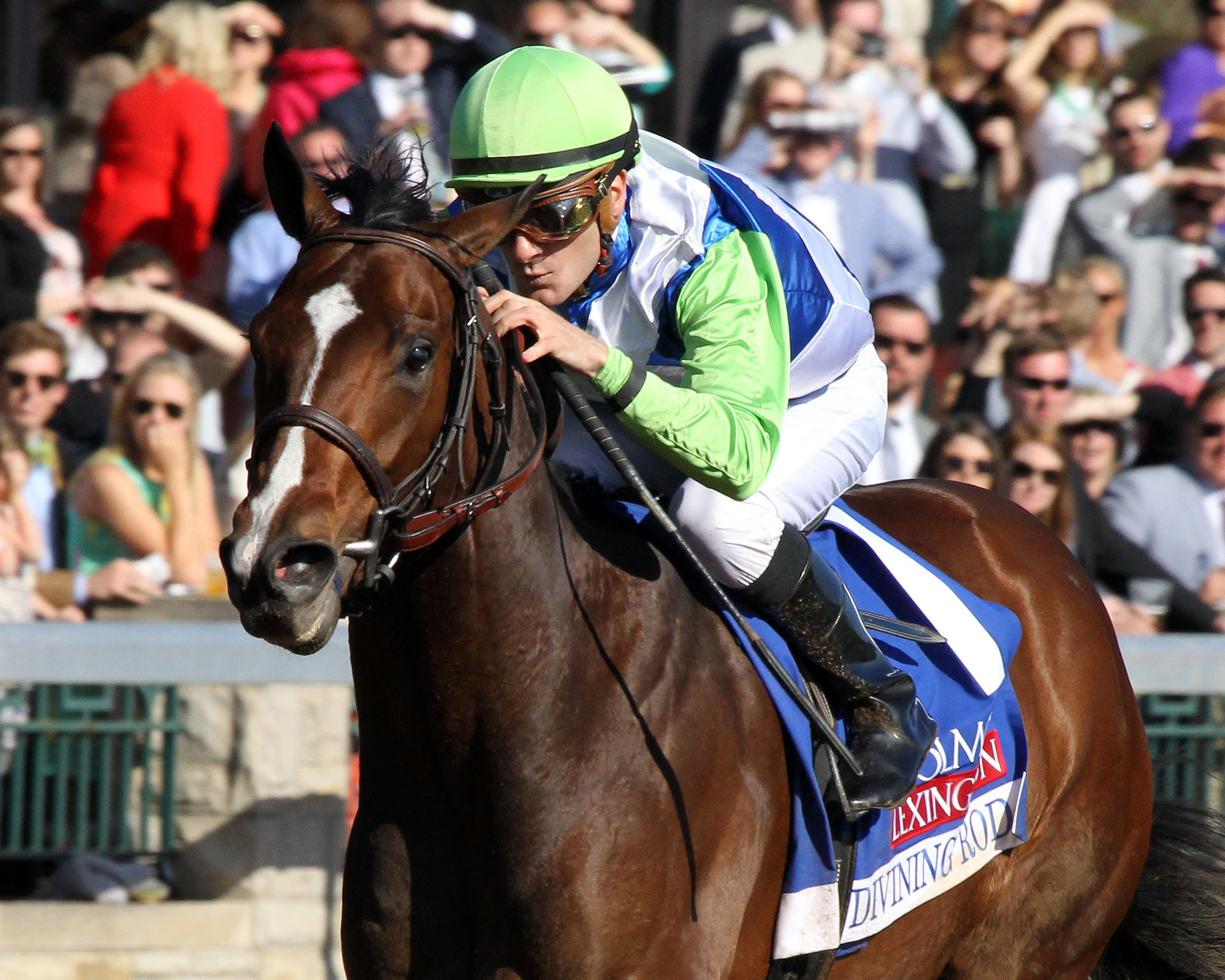 Divining Rod wins 2015 Lexington