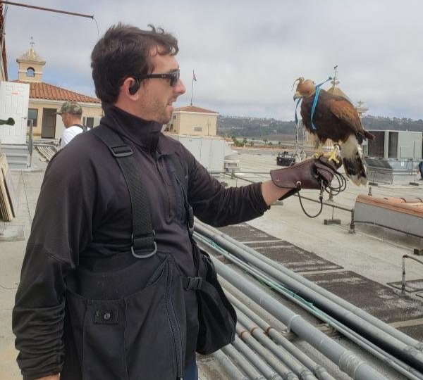 Del Mar Hawk Photo