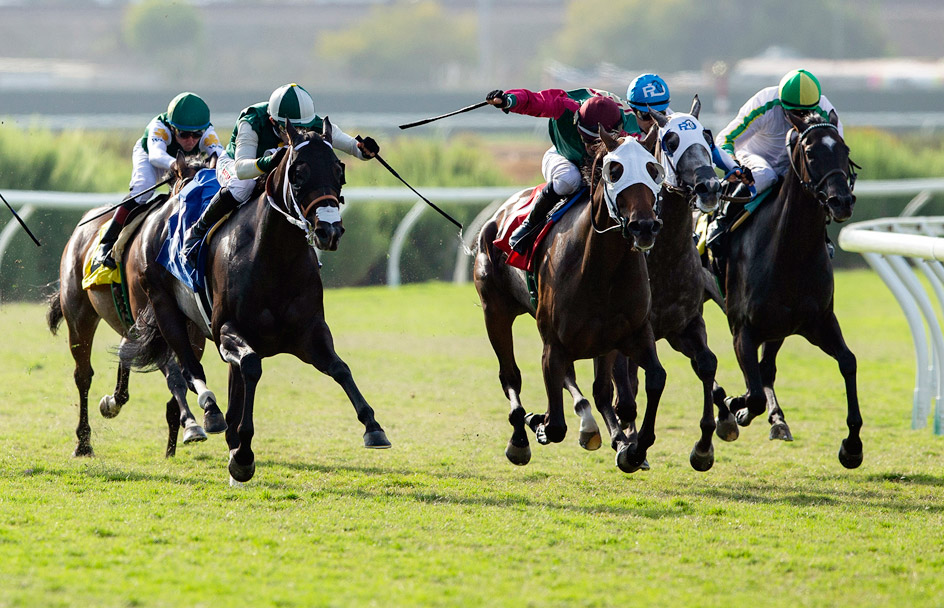 Pulpit Rider (3), under Flavien Prat, beats Nardini (1) to win the Solana Beach Stakes at Del Mar