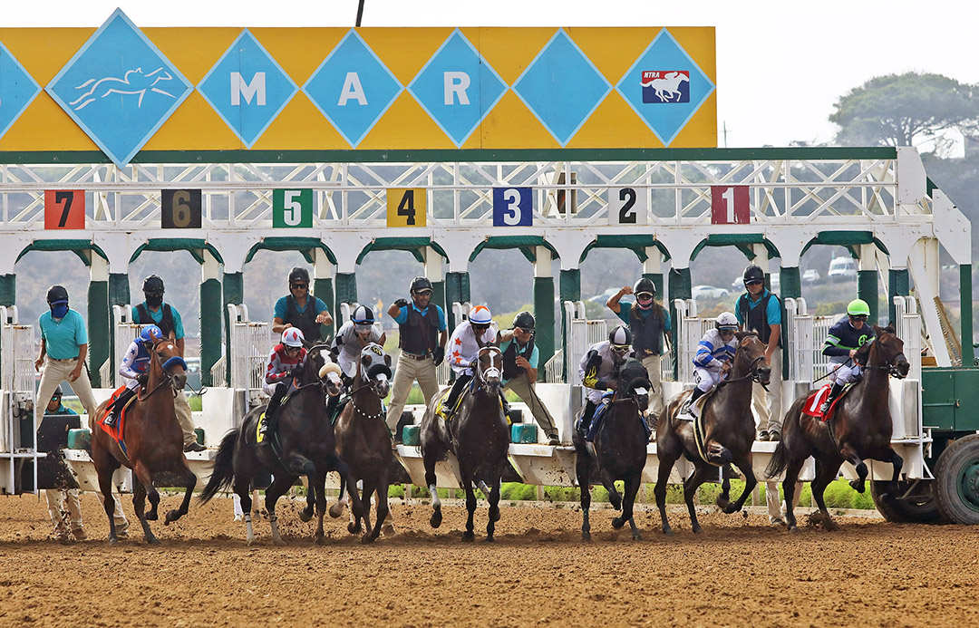 Del Mar summer meet race start