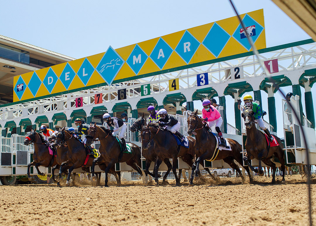 DMR starting gate on opening day 2020