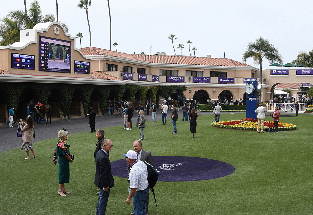 Small crowd in the Del Mar paddock on Nov. 3