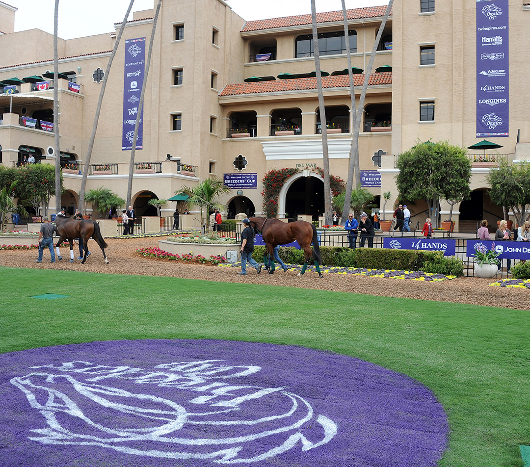 Breeders' Cup at Del Mar, 2017