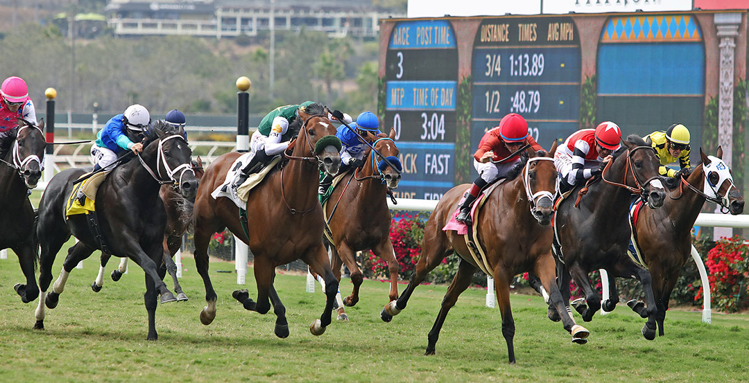 Turf racing at Del Mar