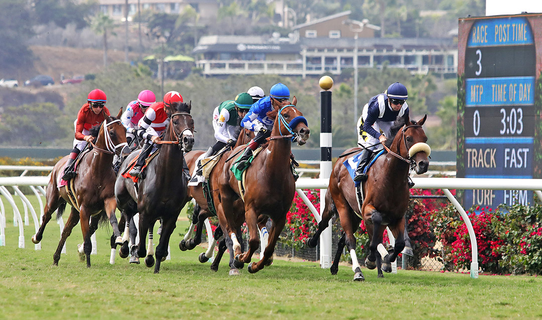 Turf racing at Del Mar