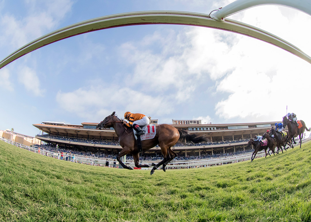 Del Mar turf racing