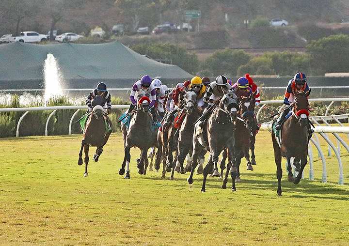 Del Mar turf racing
