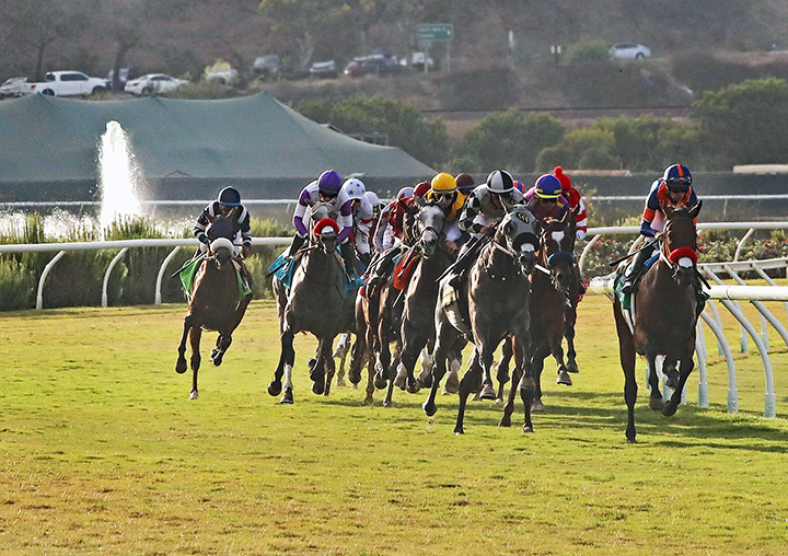 Del Mar turf racing