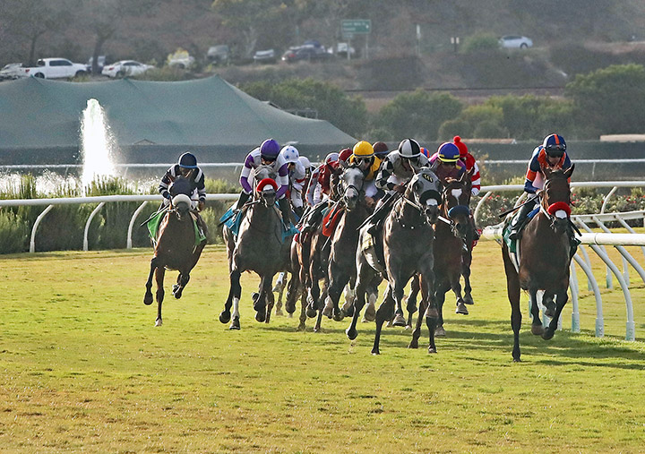 Del Mar turf racing