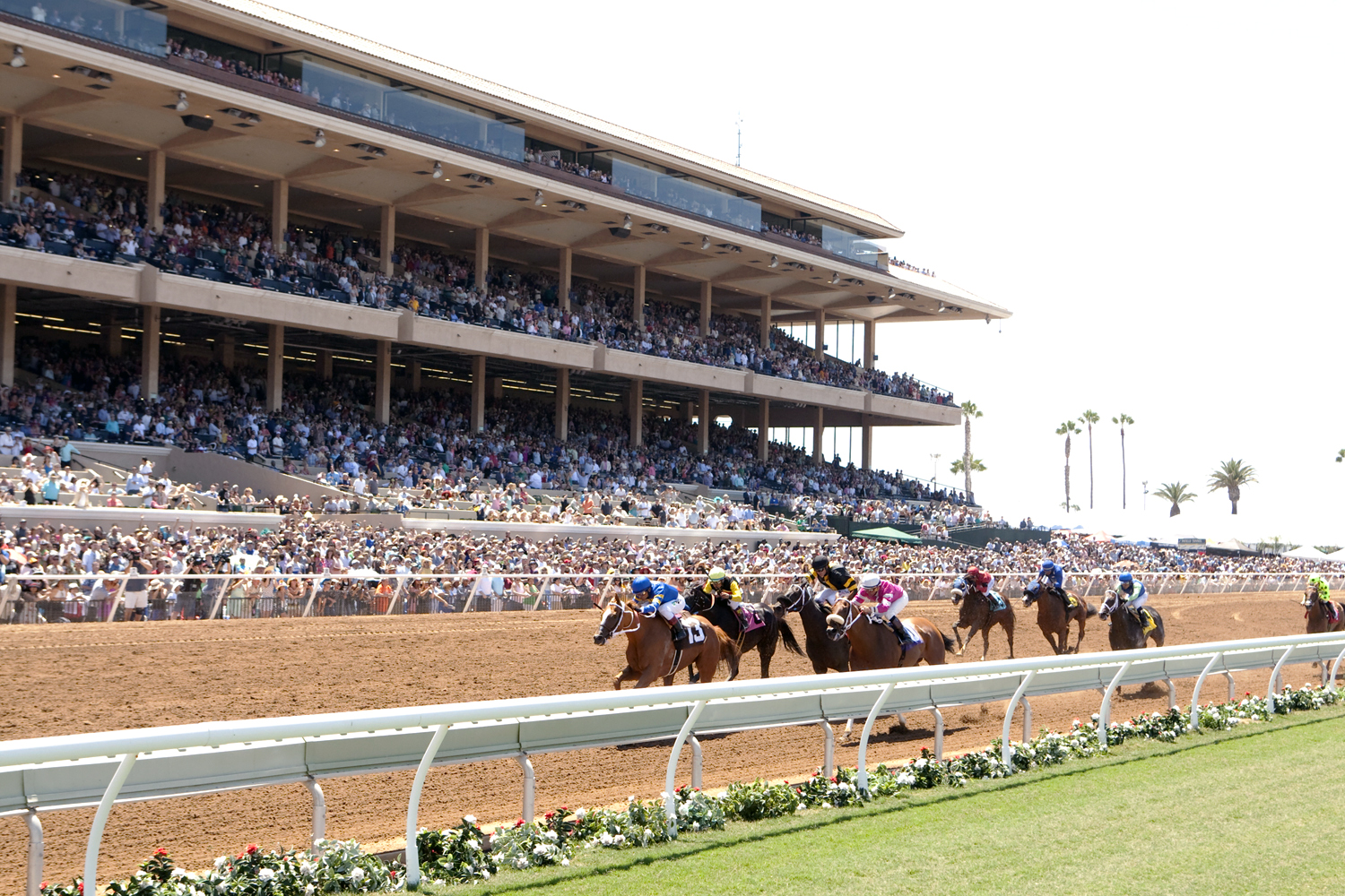 Del Mar dirt race