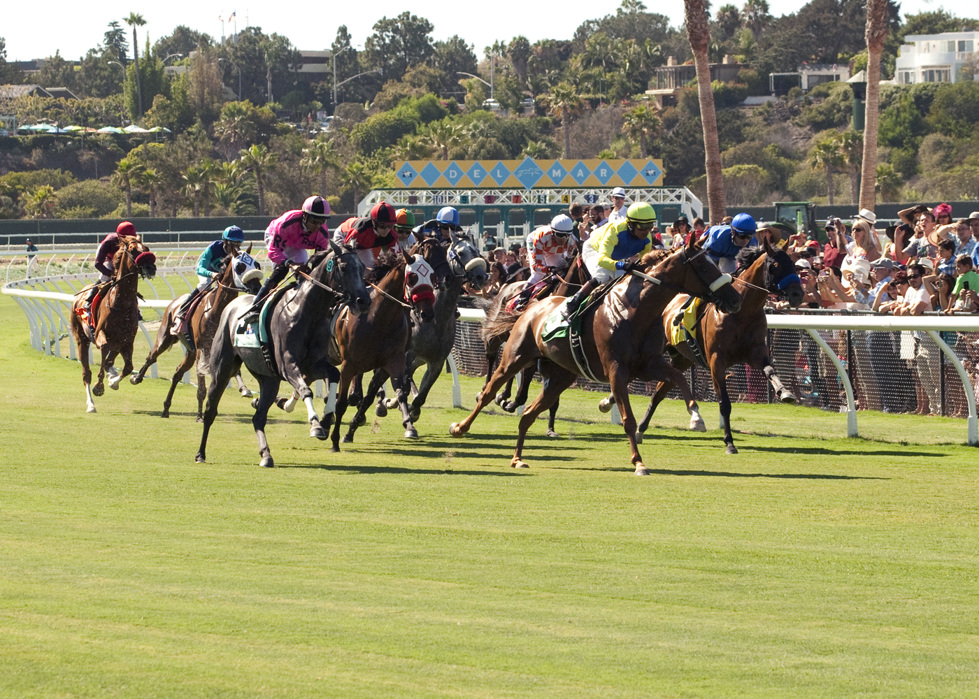 Del Mar turf race