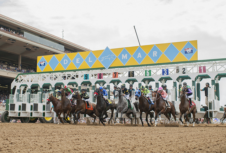 Del Mar starting gate