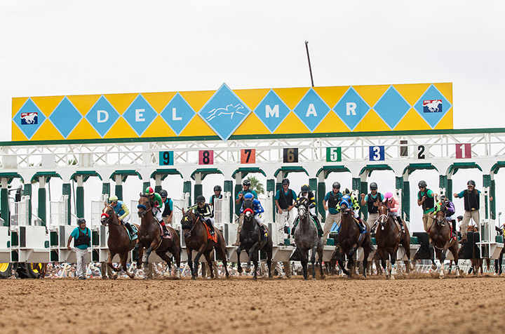 Del Mar starting gate 2018