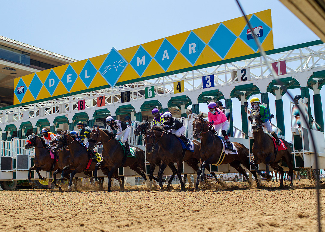 Del Mar starting gate 2020