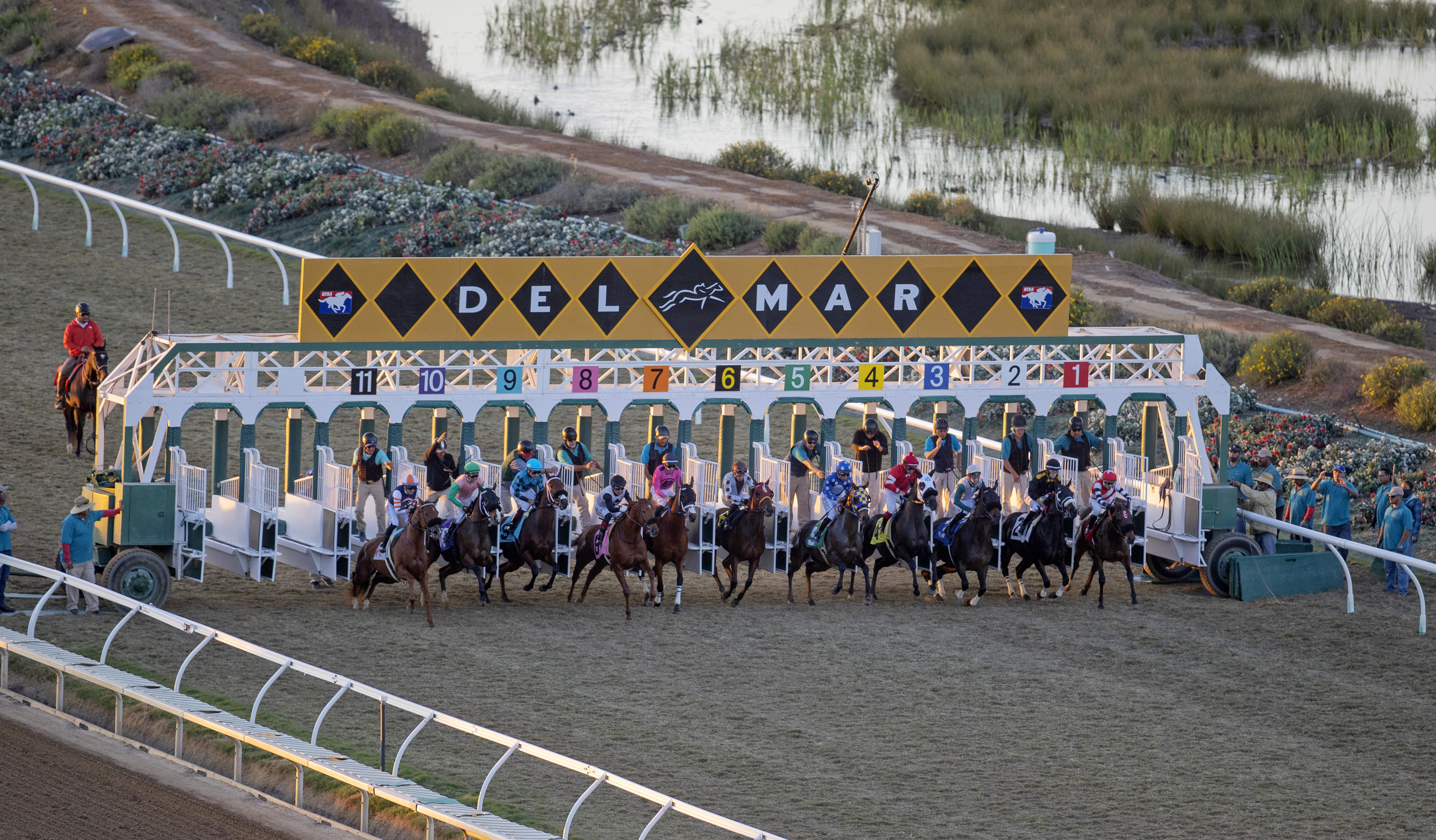 Del Mar Scenics