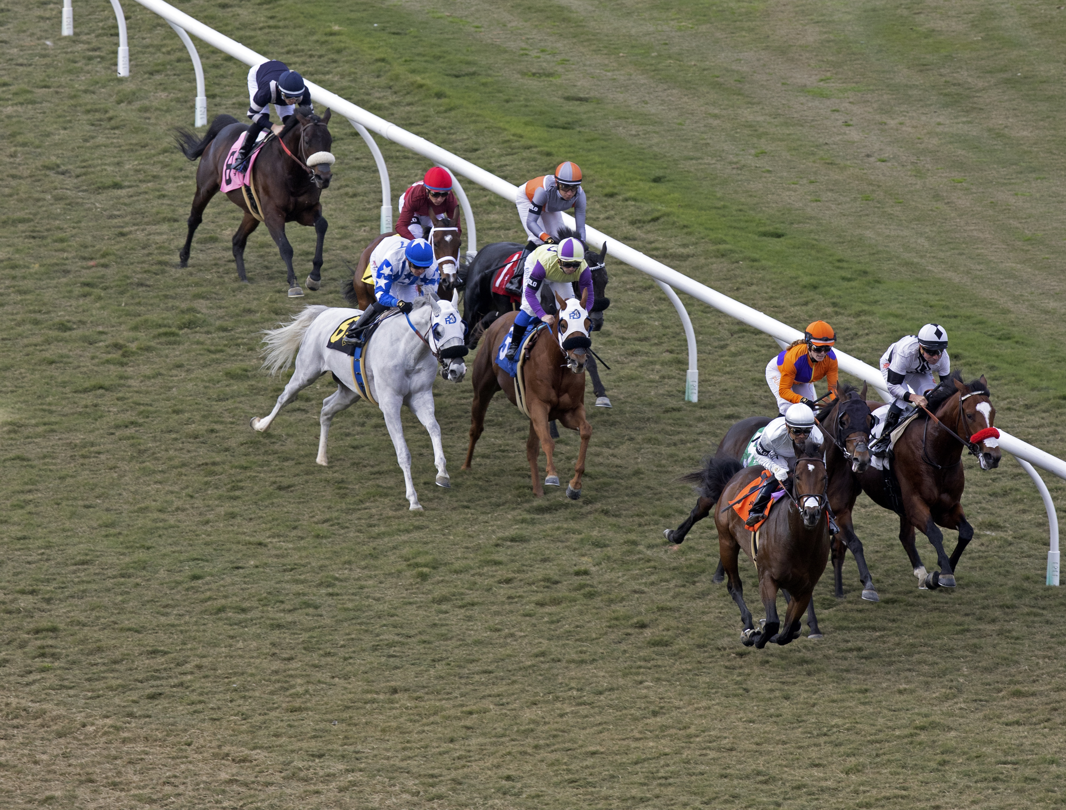 Del Mar turf