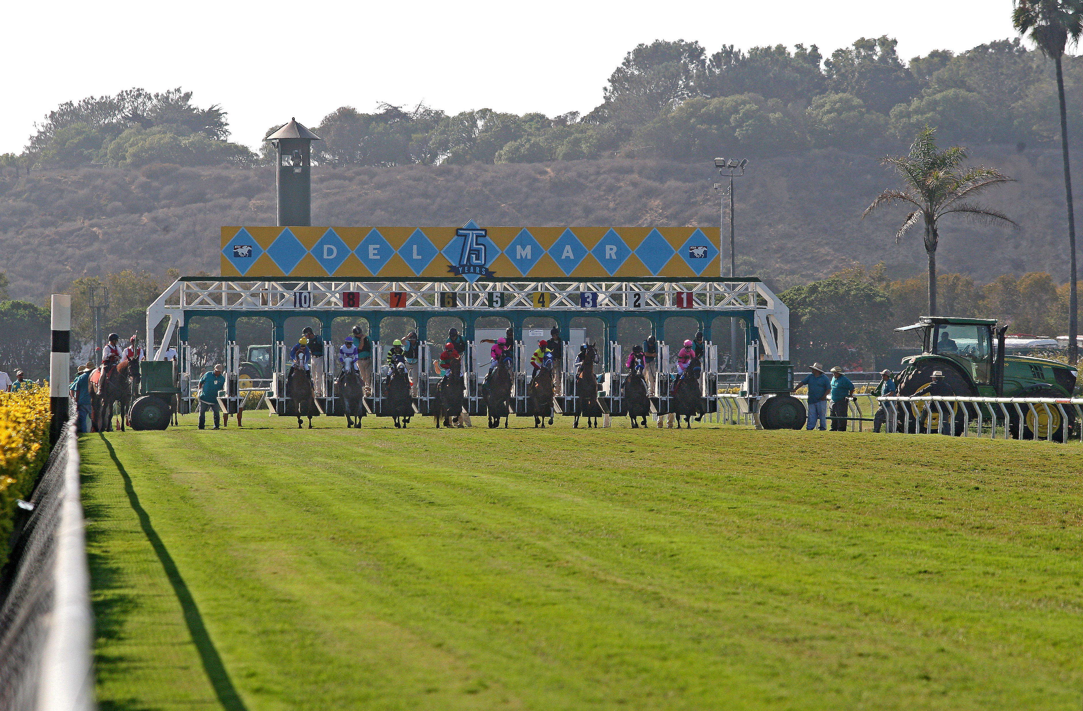 Del Mar turf