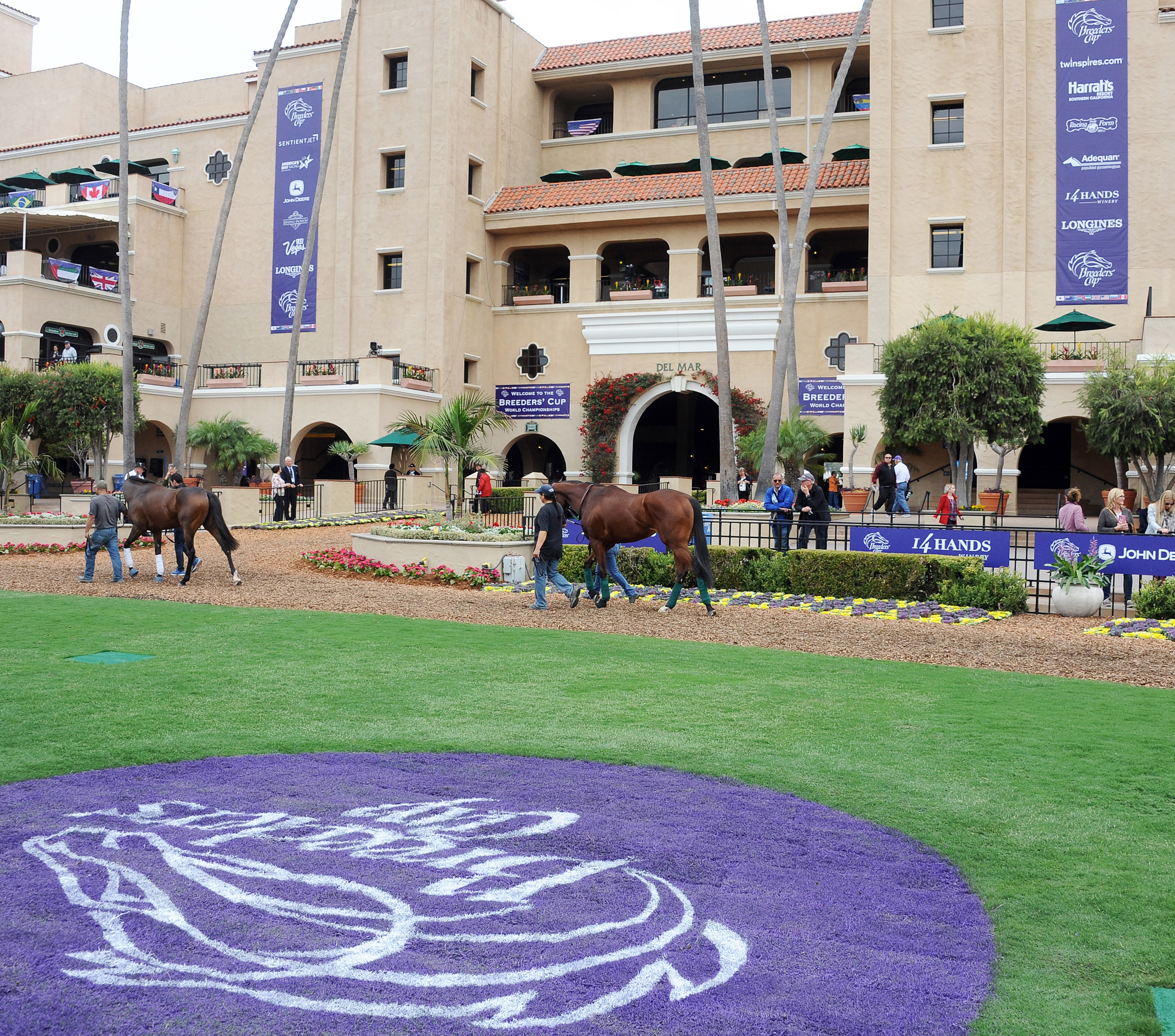 Breeders Cup at Del Mar