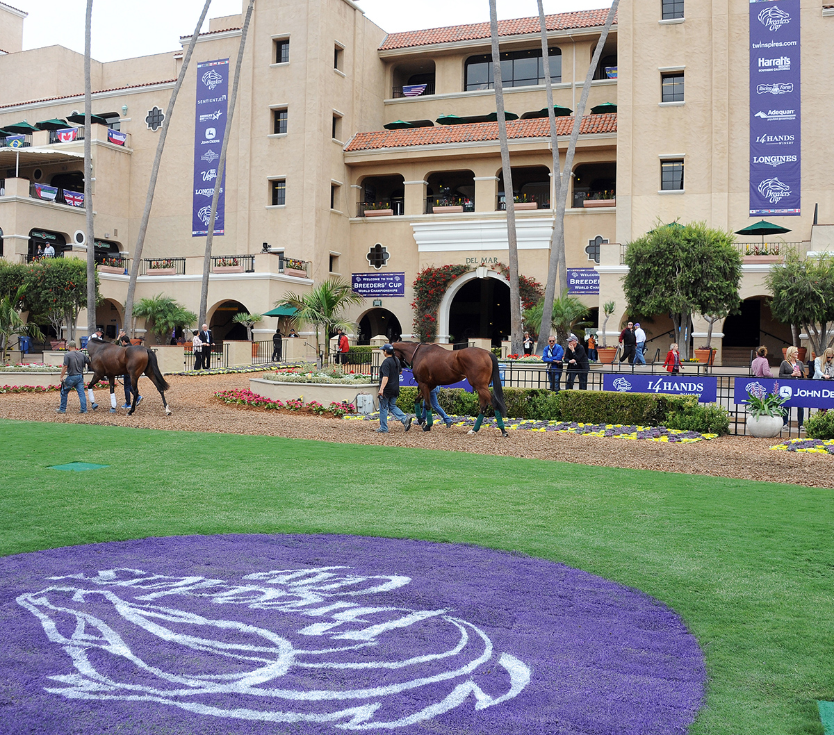 Breeders' Cup at Del Mar scenic