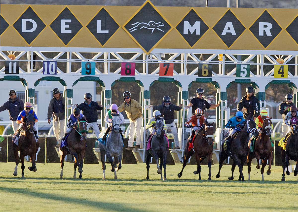 Del Mar turf racing