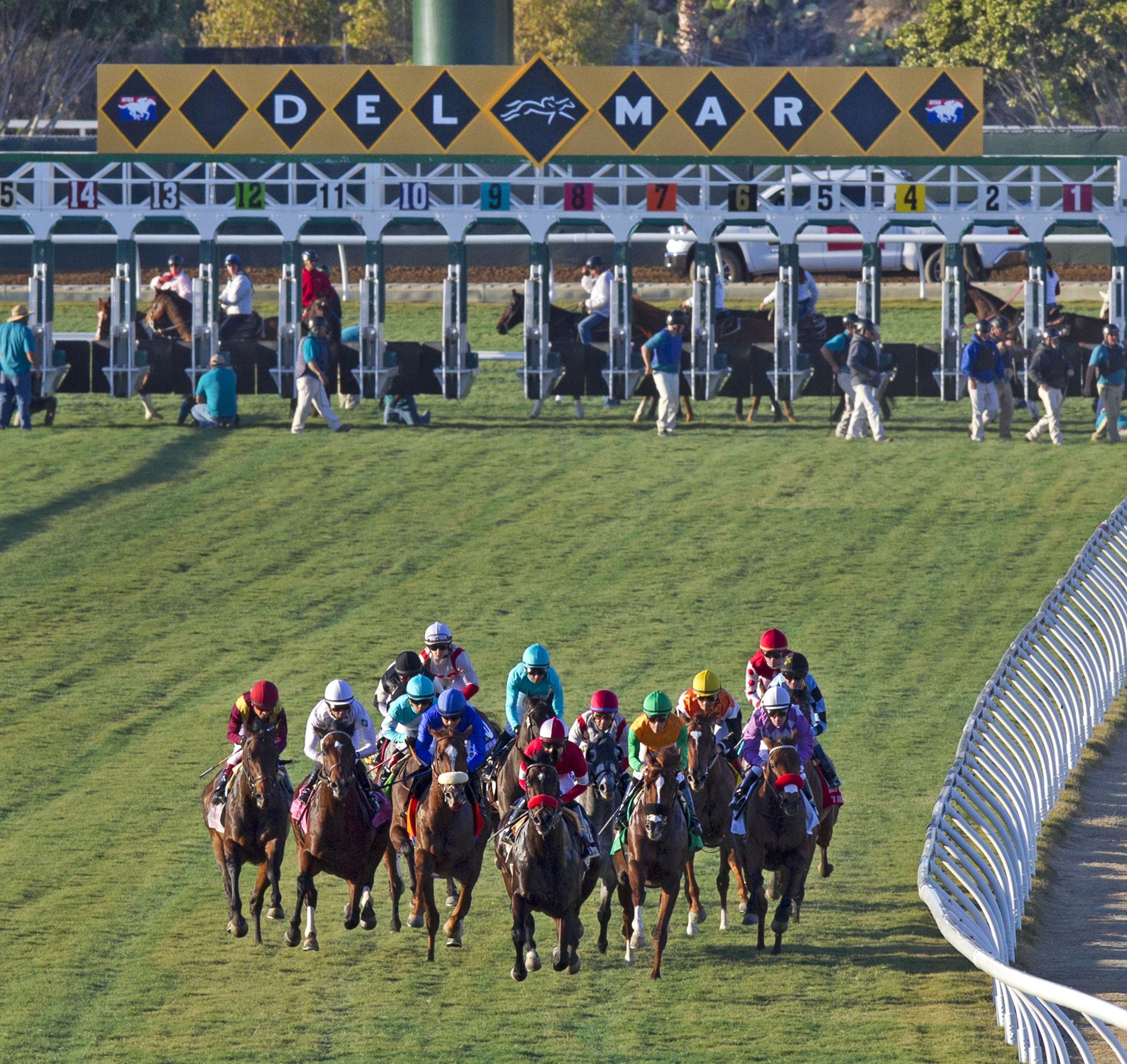 Del Mar turf racing scenic November 2015